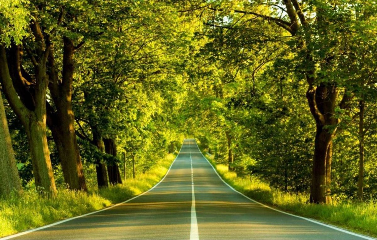 Dr Millia is a Psychiatrist in Dubai providing DBR, IFS & EMDR therapy