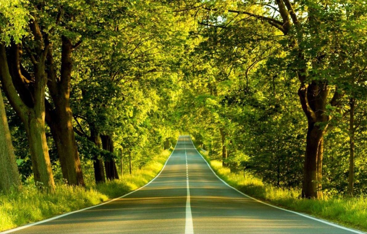 Dr Millia is a Psychiatrist in Dubai providing DBR, IFS & EMDR therapy