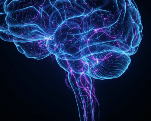 deep-brain-reorienting-therapy